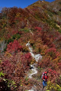 000_0391 紅葉が綺麗 jpg