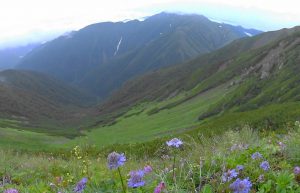 12荒川岳から南面に赤石岳を臨む