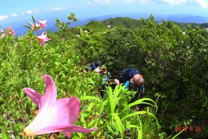 7.三国山から種蒔山へ