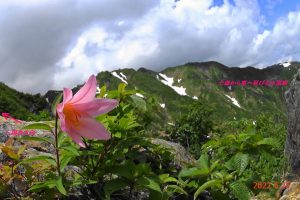 3.七森から種蒔山東面