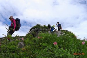 14.種蒔山からの下り