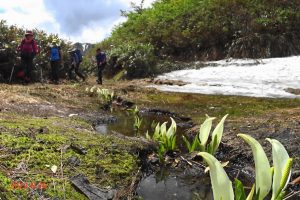 17.地蔵山の血の池から旧道下降