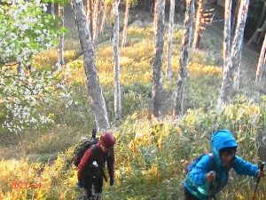 皇海山へ駒掛山の鞍部