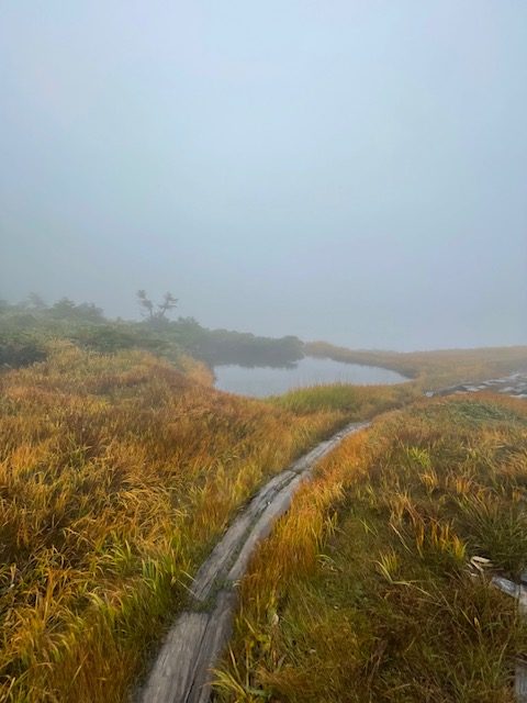 霧雨の苗場山池塘